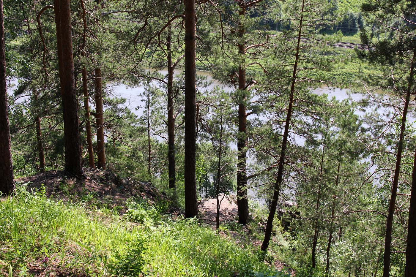 Окрестности Камня Ермак, image of landscape/habitat.