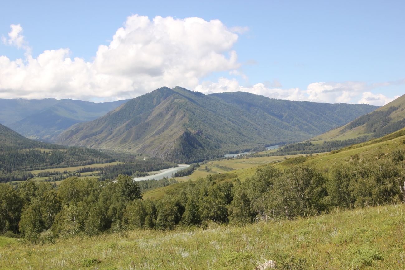 Окрестности ручья Барбыш, image of landscape/habitat.