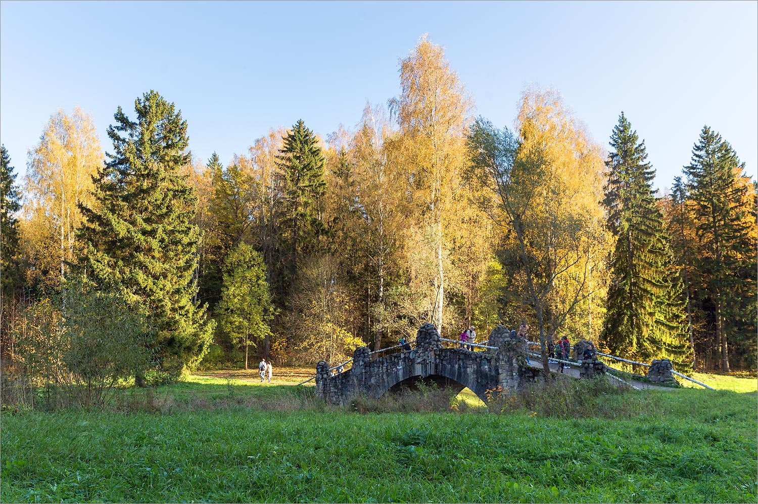 Павловск, изображение ландшафта.