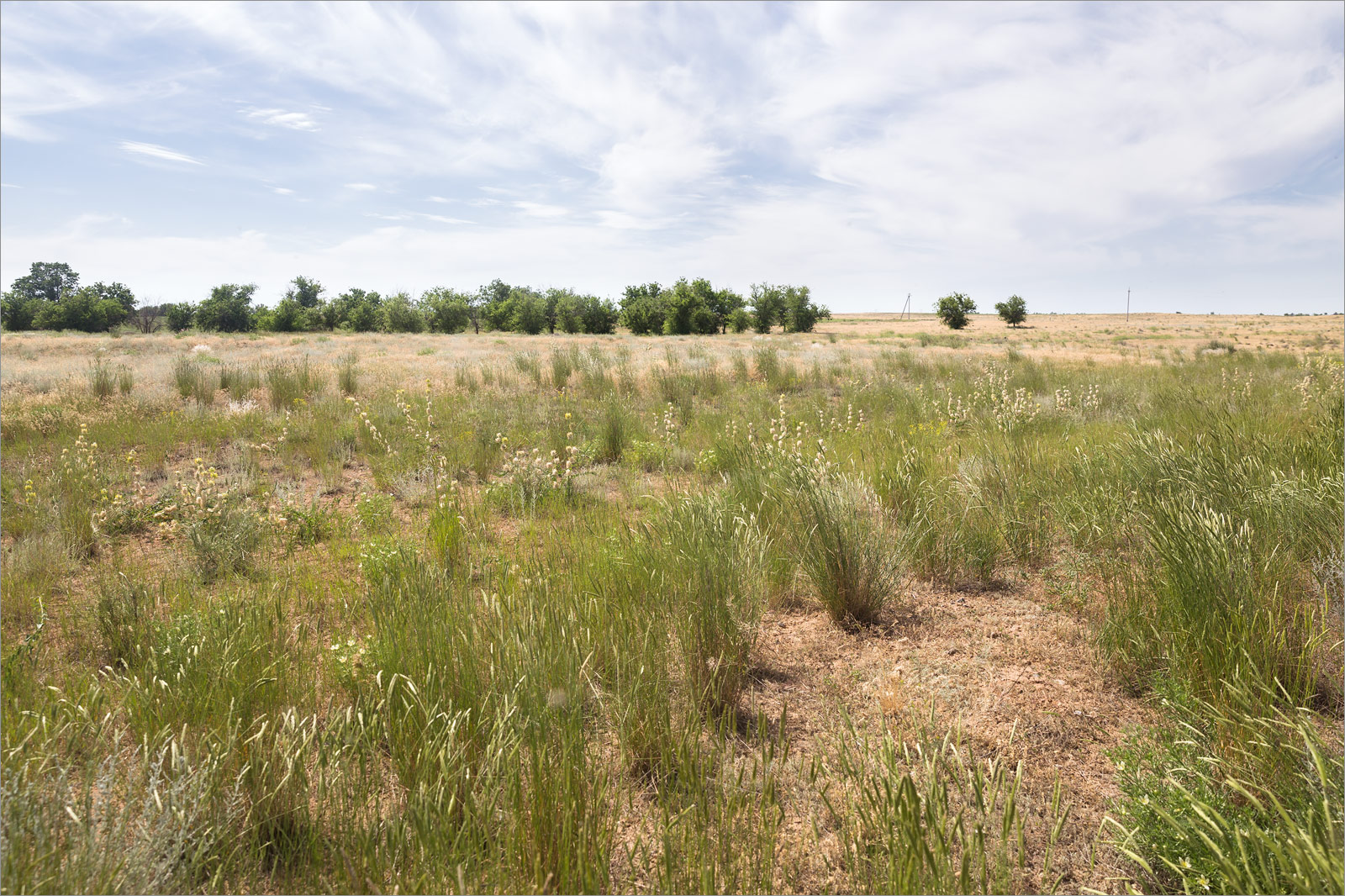 Долина реки Енотаевка, image of landscape/habitat.