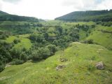 Image of landscape