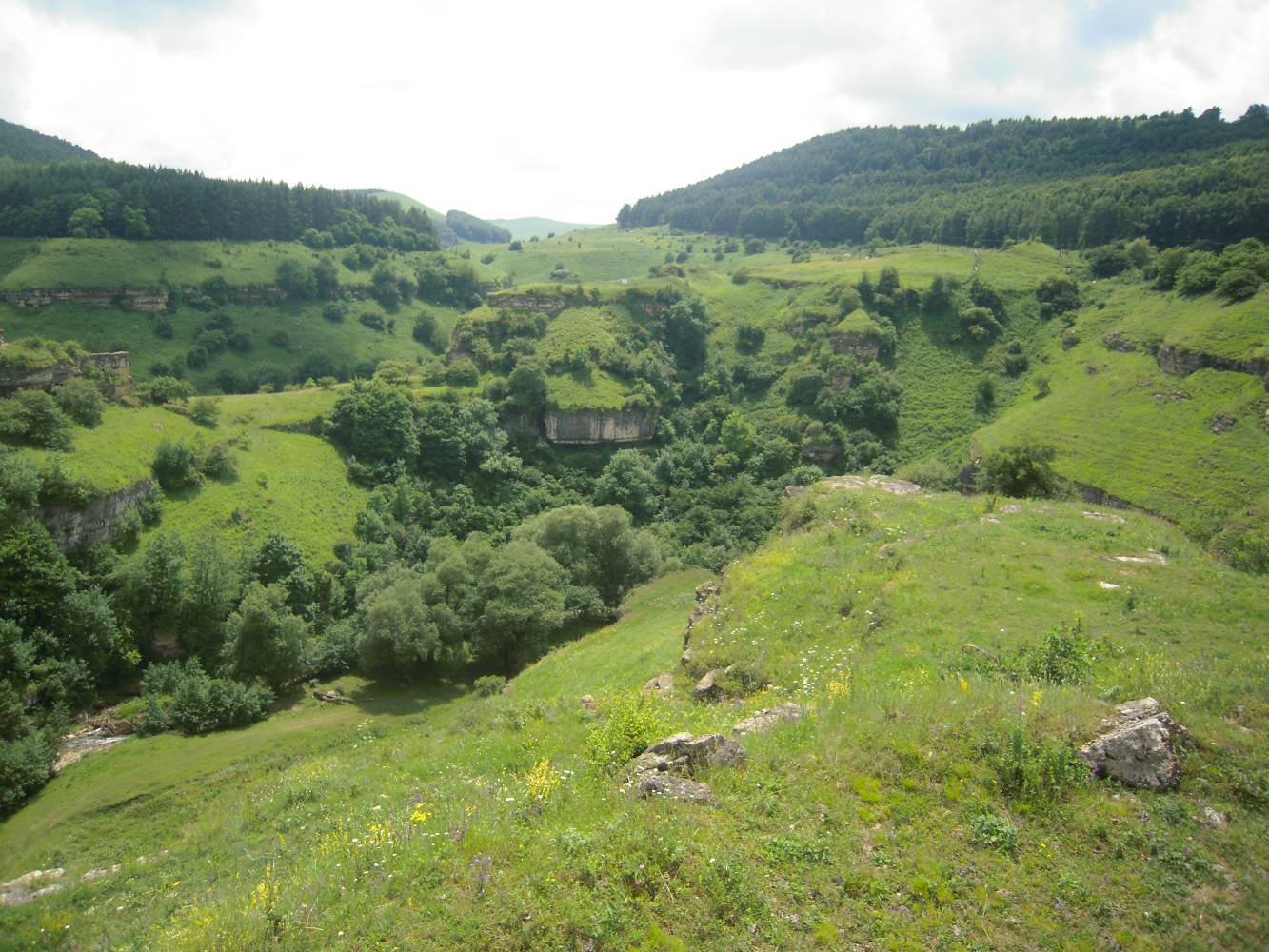 Лермонтовская скала, image of landscape/habitat.