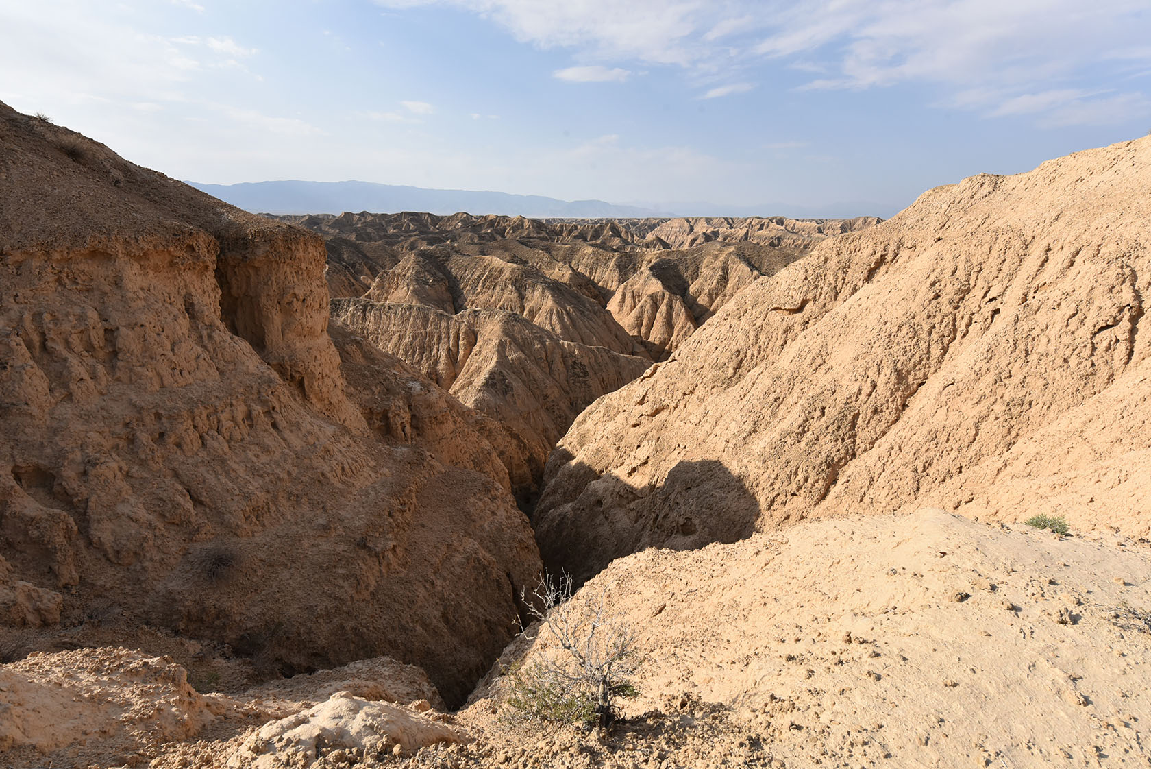 Чарын, image of landscape/habitat.