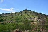 Image of landscape