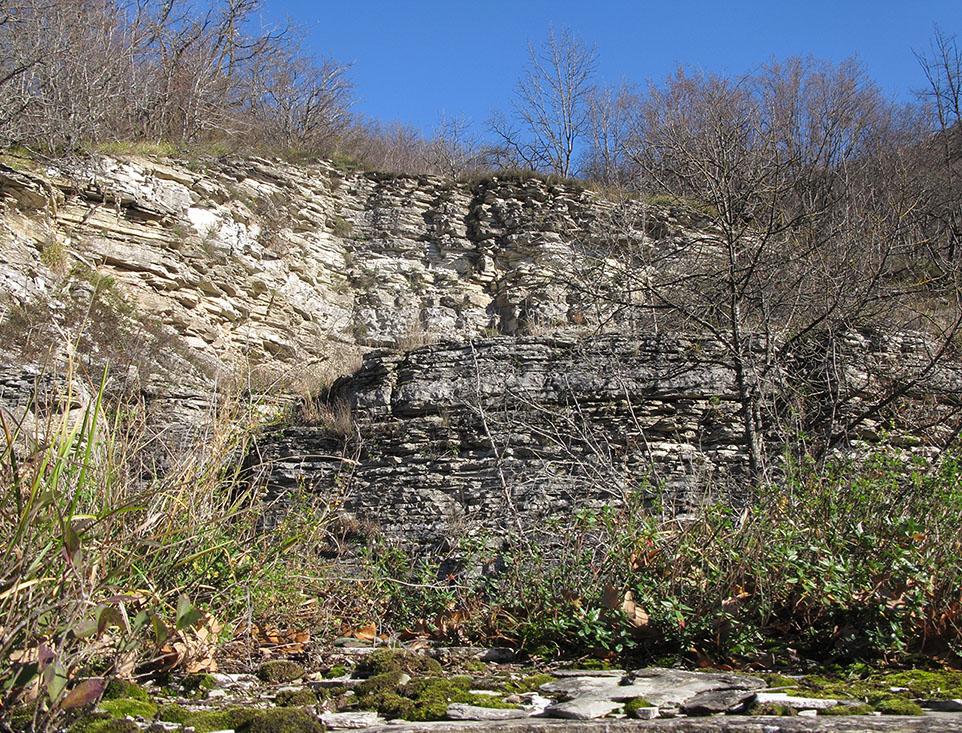 Гора Рябкова, image of landscape/habitat.