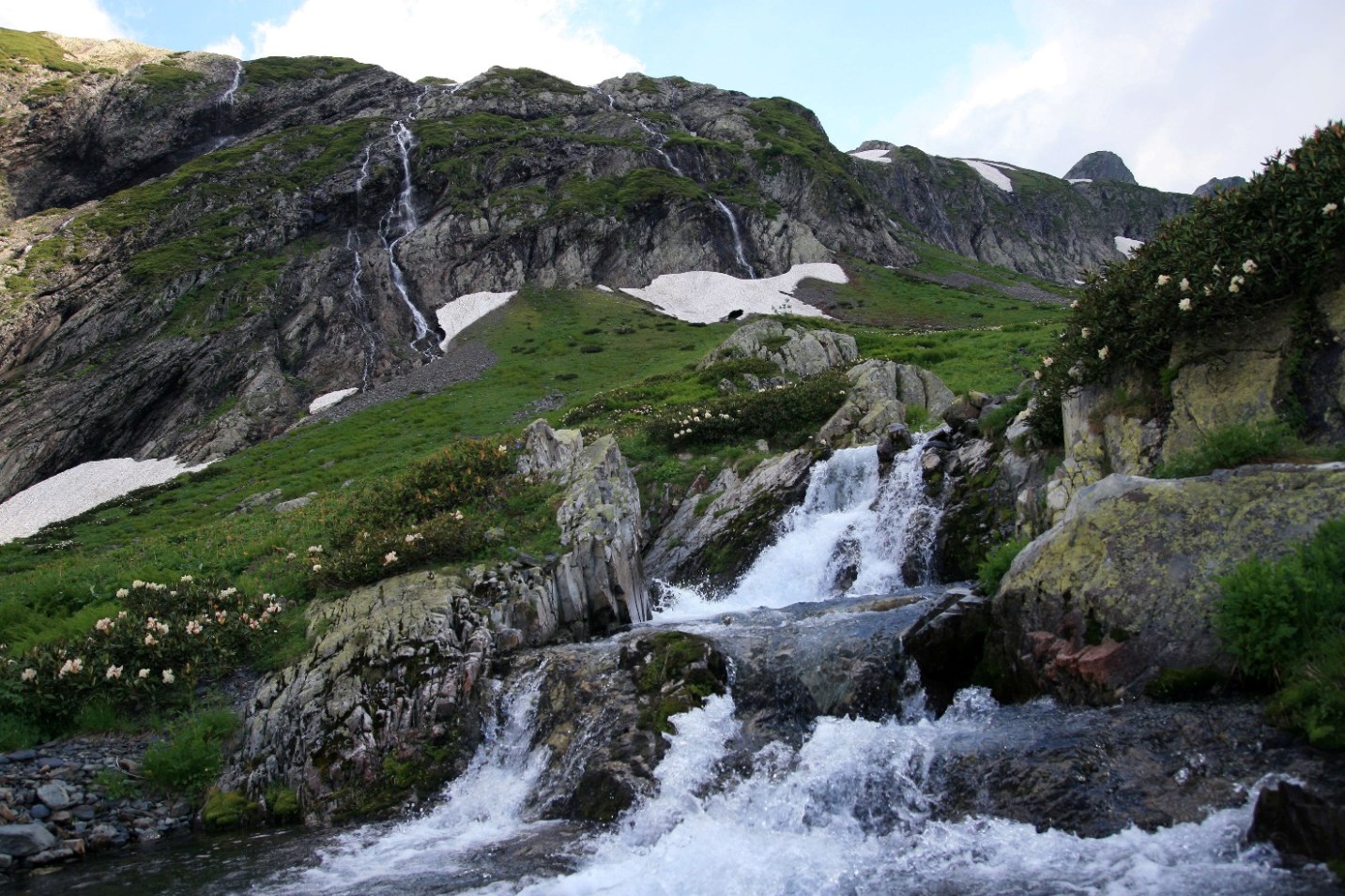 Долина реки Киша, image of landscape/habitat.