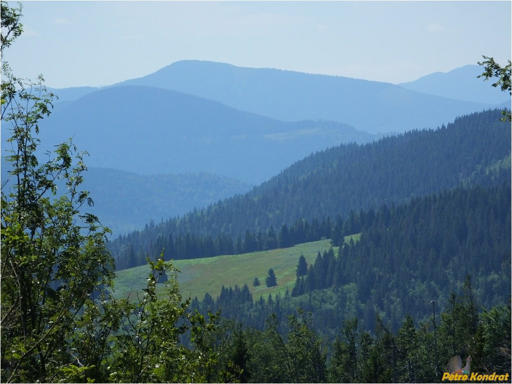 Мизунь, image of landscape/habitat.