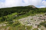 Image of landscape