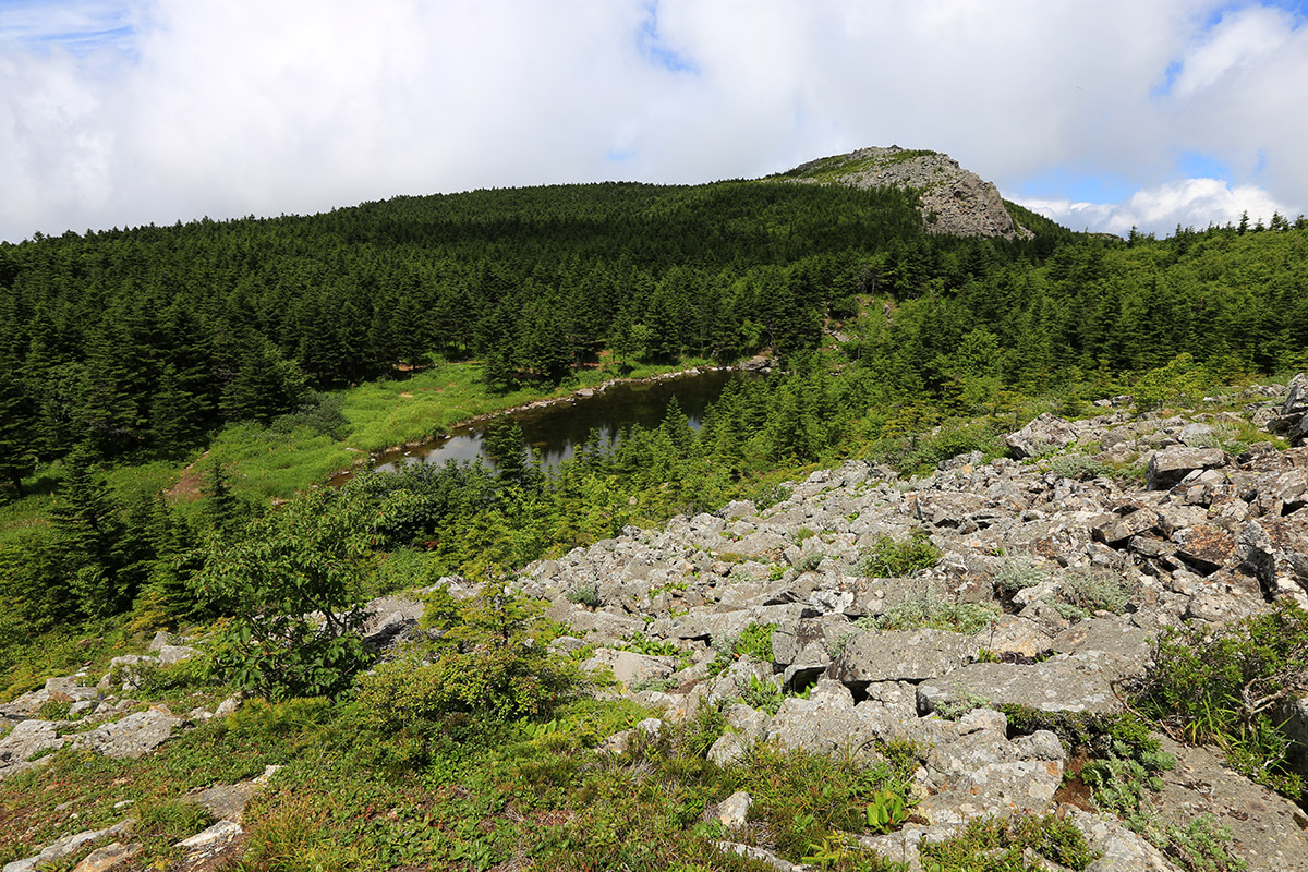 Гора Ольховая, image of landscape/habitat.