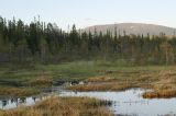 Лувеньга, image of landscape/habitat.