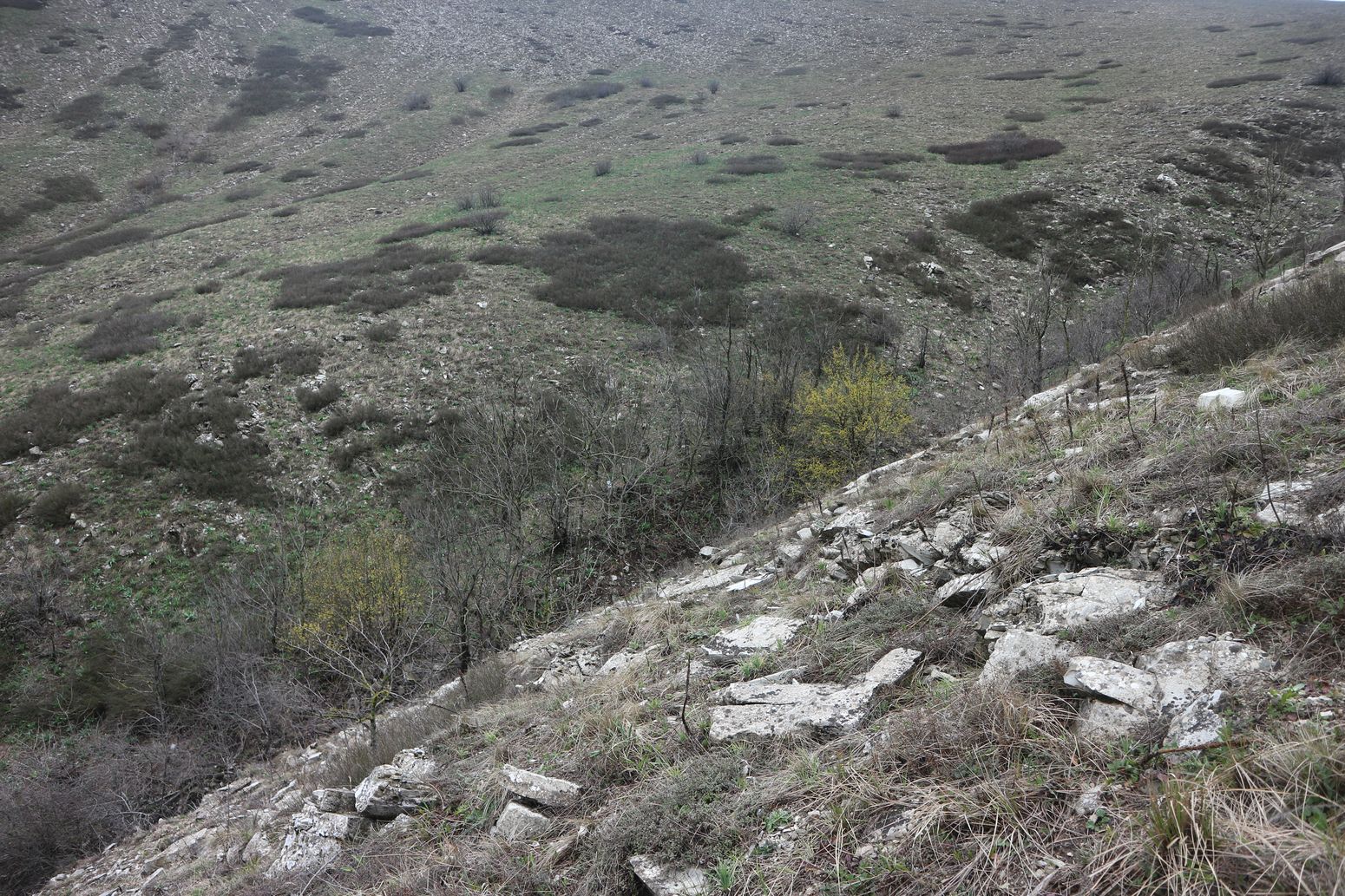 Истоки Мефодиевского ручья, изображение ландшафта.