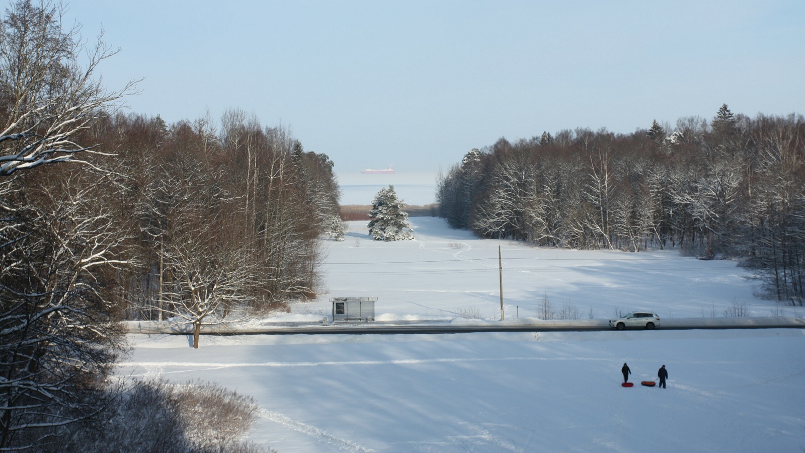 Парк "Сергиевка", image of landscape/habitat.