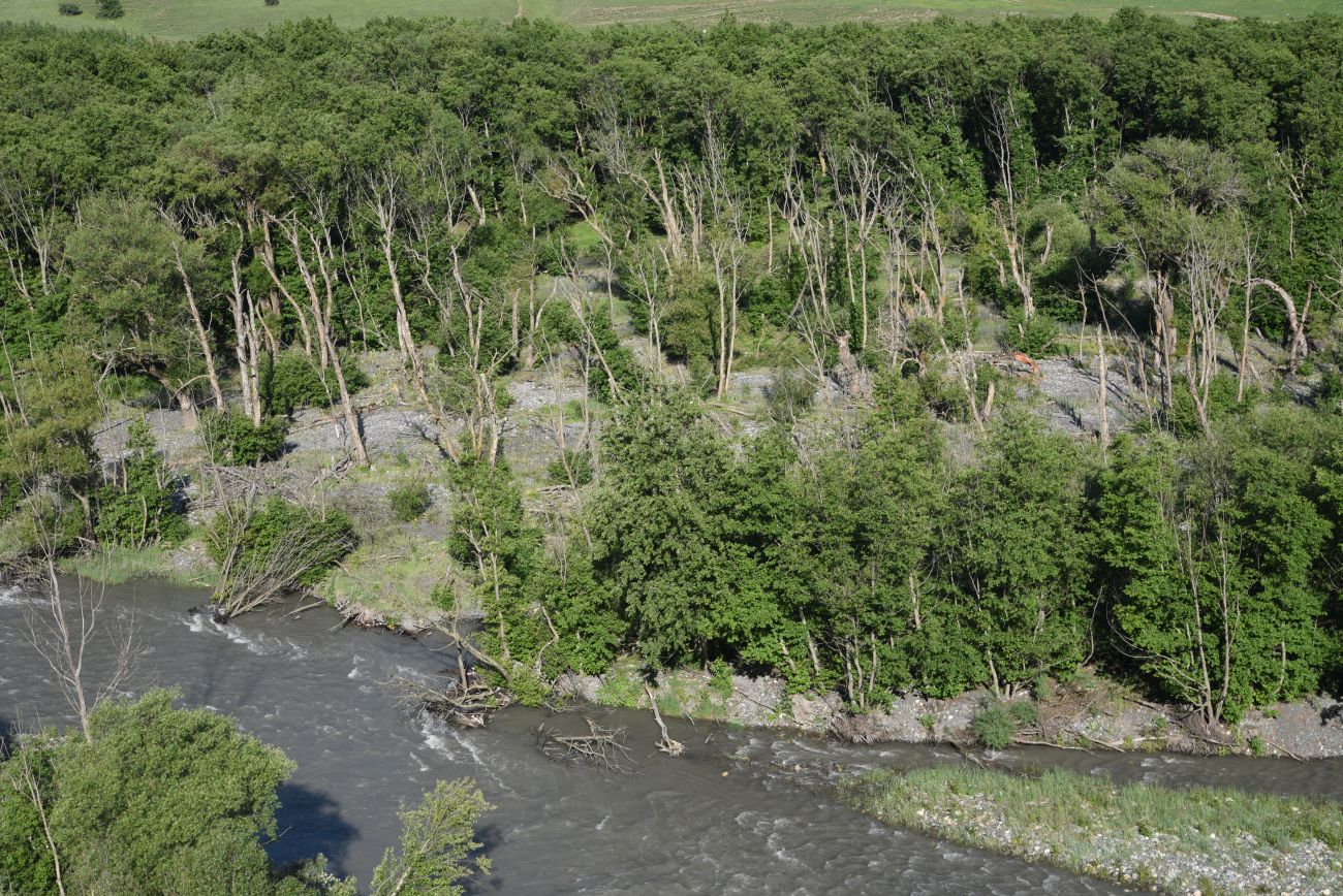Окрестности урочища Исмаил-Ков, image of landscape/habitat.