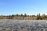 Окрестности деревни Семичёво, image of landscape/habitat.