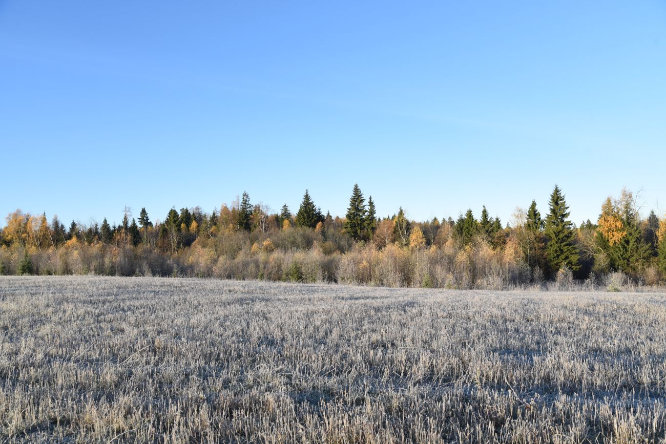 Окрестности деревни Семичёво, image of landscape/habitat.