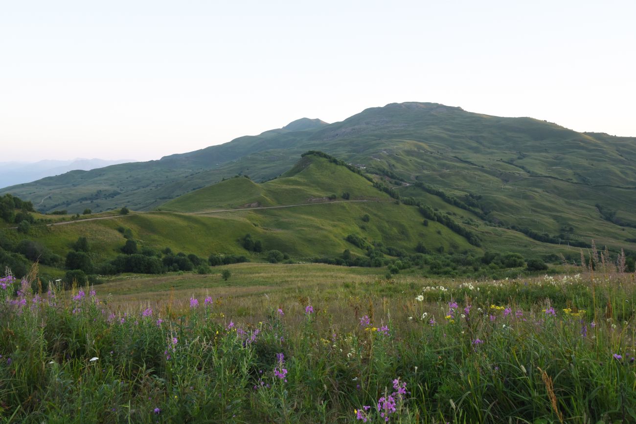 Окрестности перевала Чантыбарз, image of landscape/habitat.