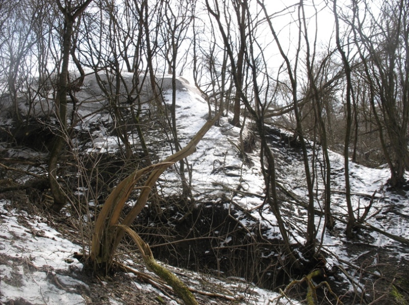 Окрестности Шишкино, изображение ландшафта.