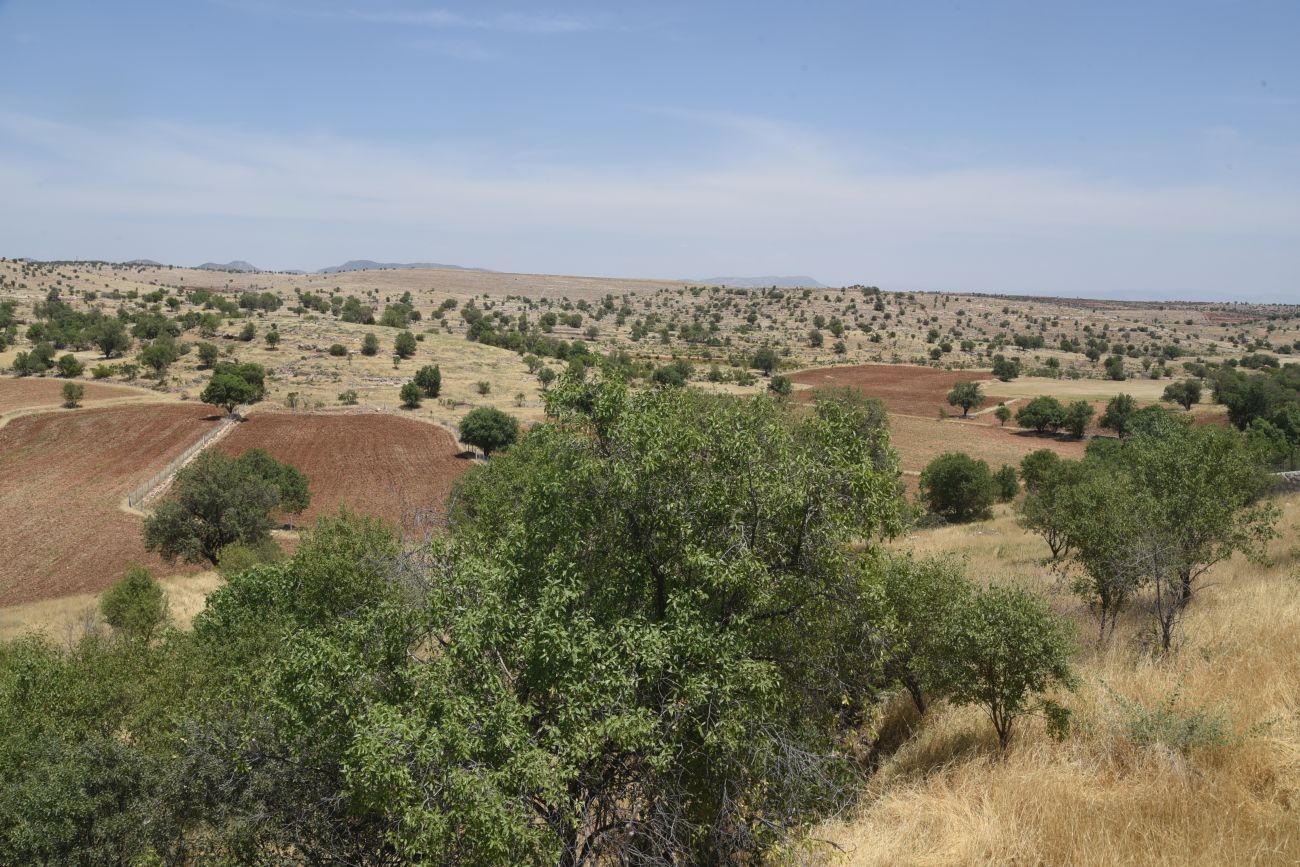 Избирак (Заз), image of landscape/habitat.