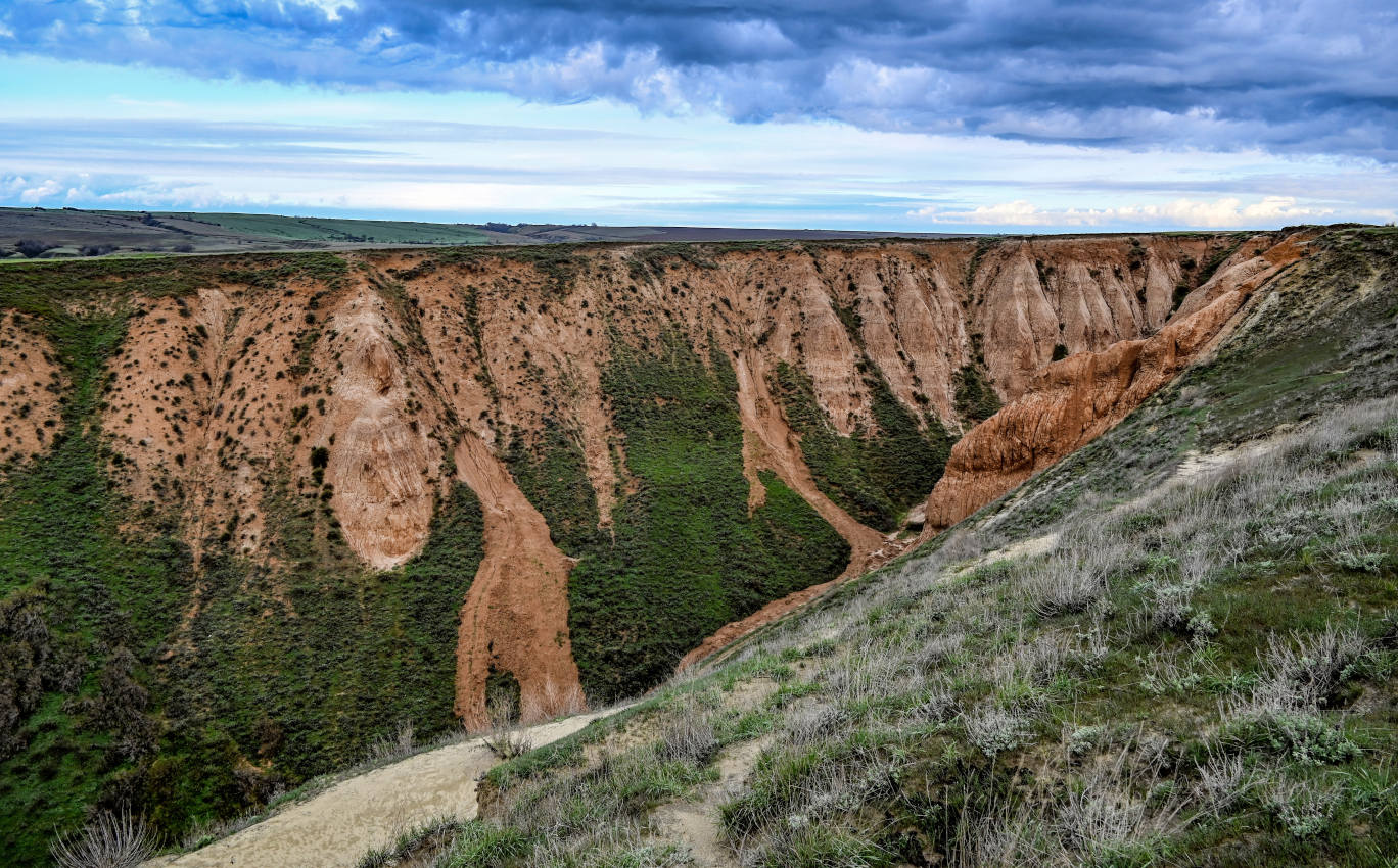 Александровский грабен, image of landscape/habitat.