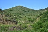 Image of landscape