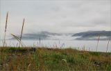 Image of landscape