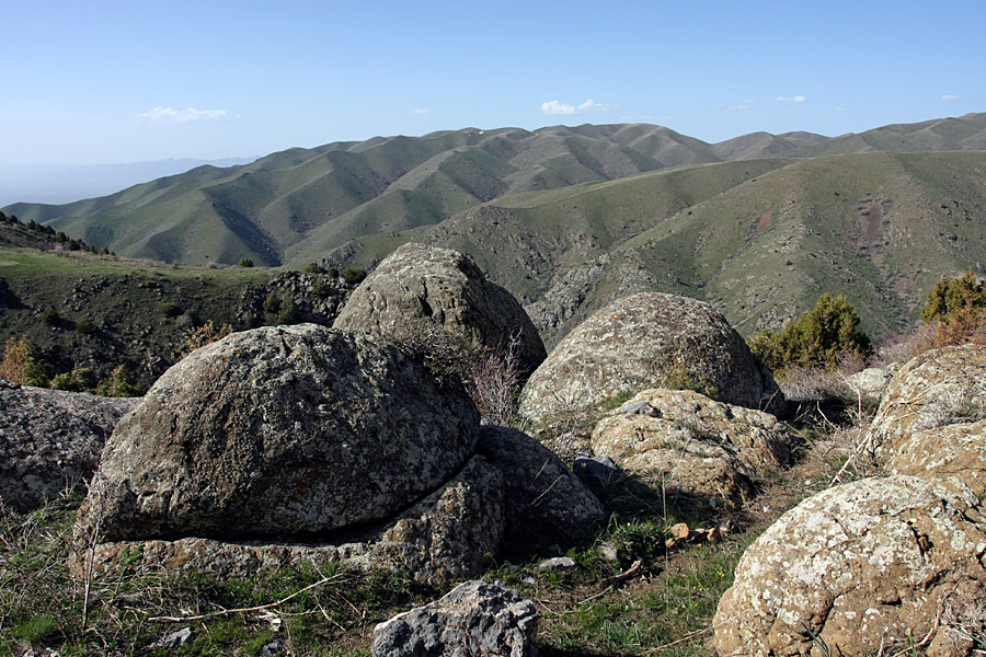 Домик Тризны, image of landscape/habitat.