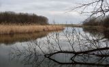 Александровский лес, image of landscape/habitat.