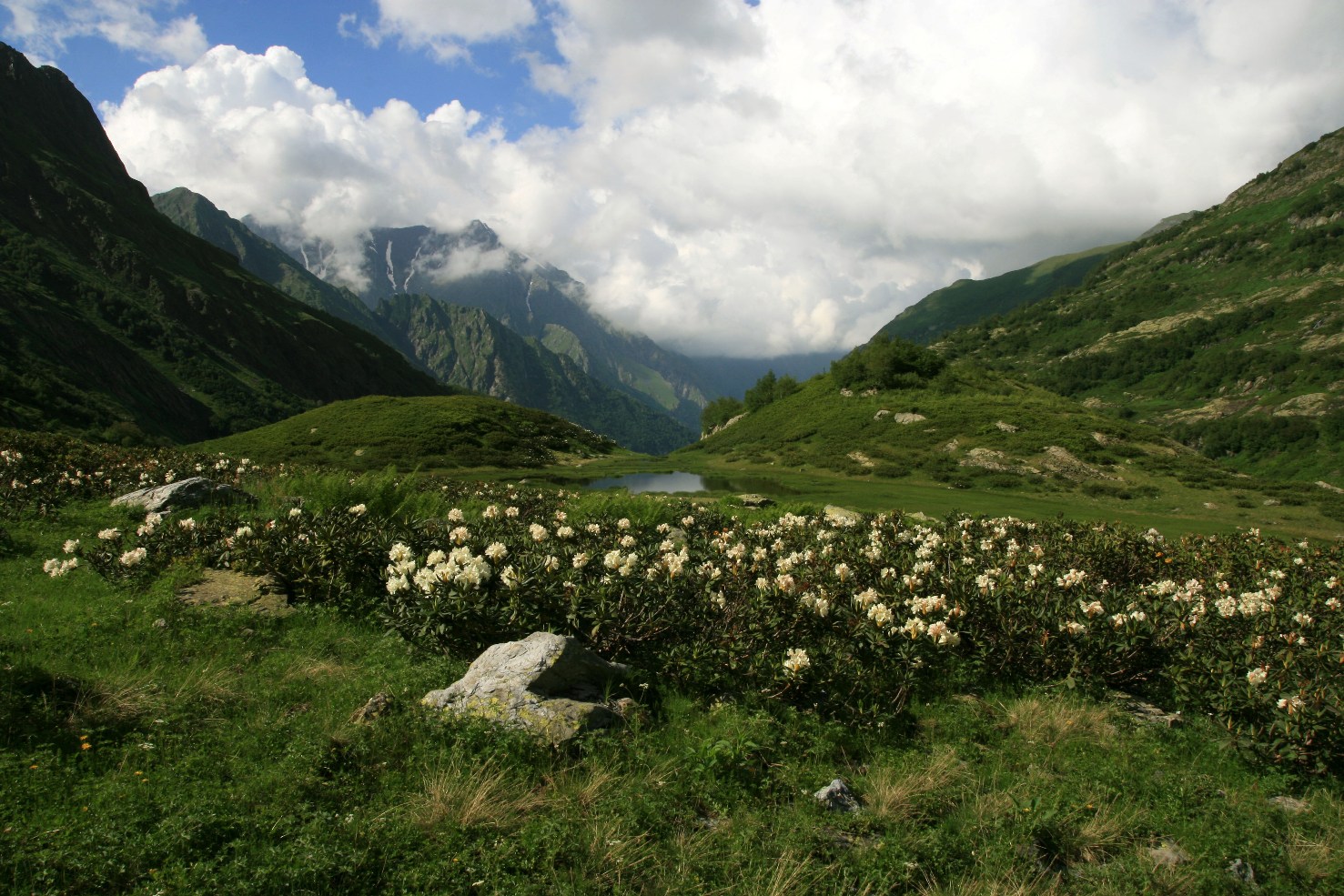 Долина реки Киша, image of landscape/habitat.