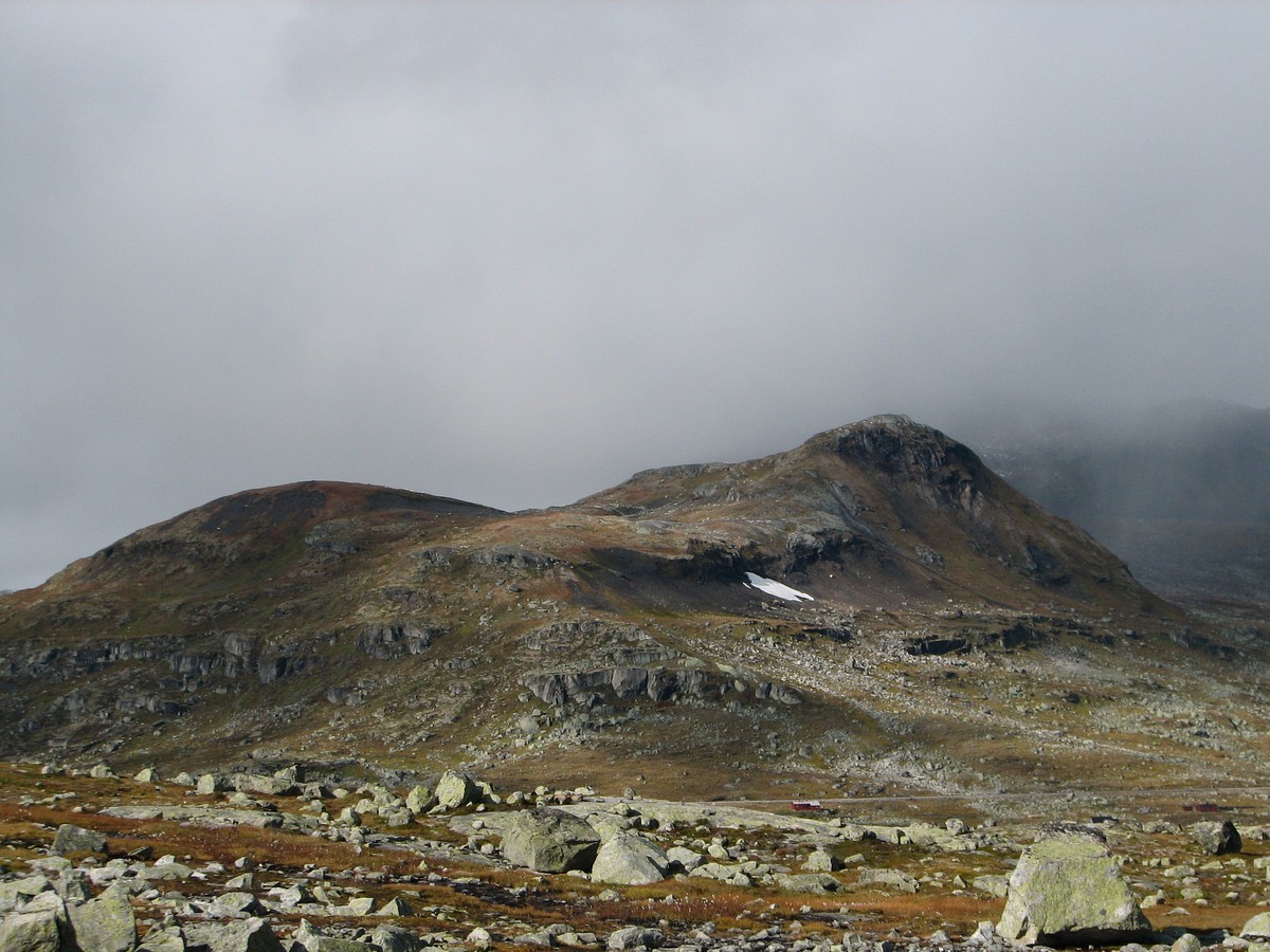 Finse, image of landscape/habitat.