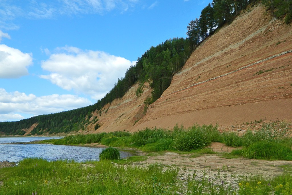 Устье Мяколицы, image of landscape/habitat.