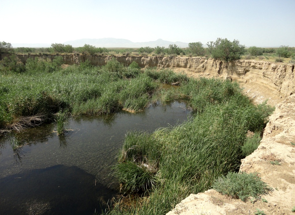 Аджидерья, image of landscape/habitat.