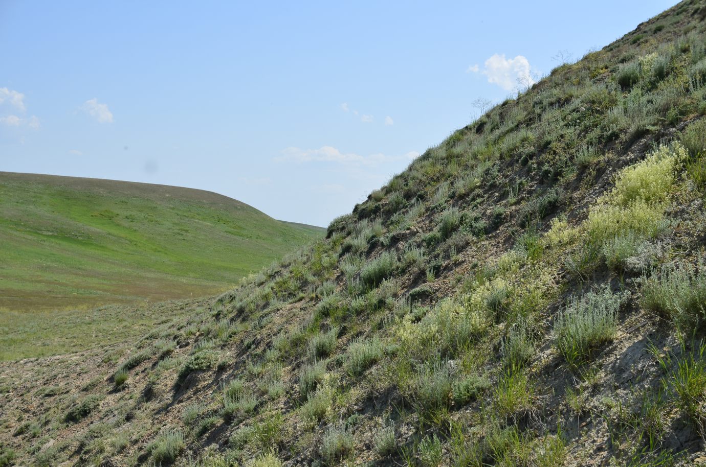 Гора Корсак-Бас, image of landscape/habitat.