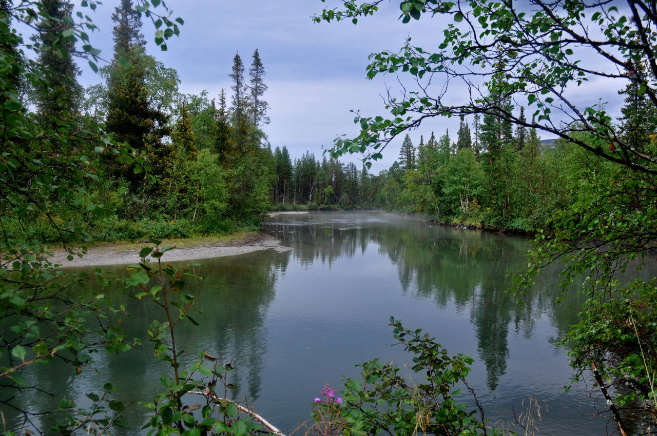 Долина реки Кунийок, image of landscape/habitat.