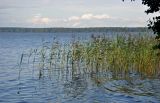 Иваньковское водохранилище, image of landscape/habitat.