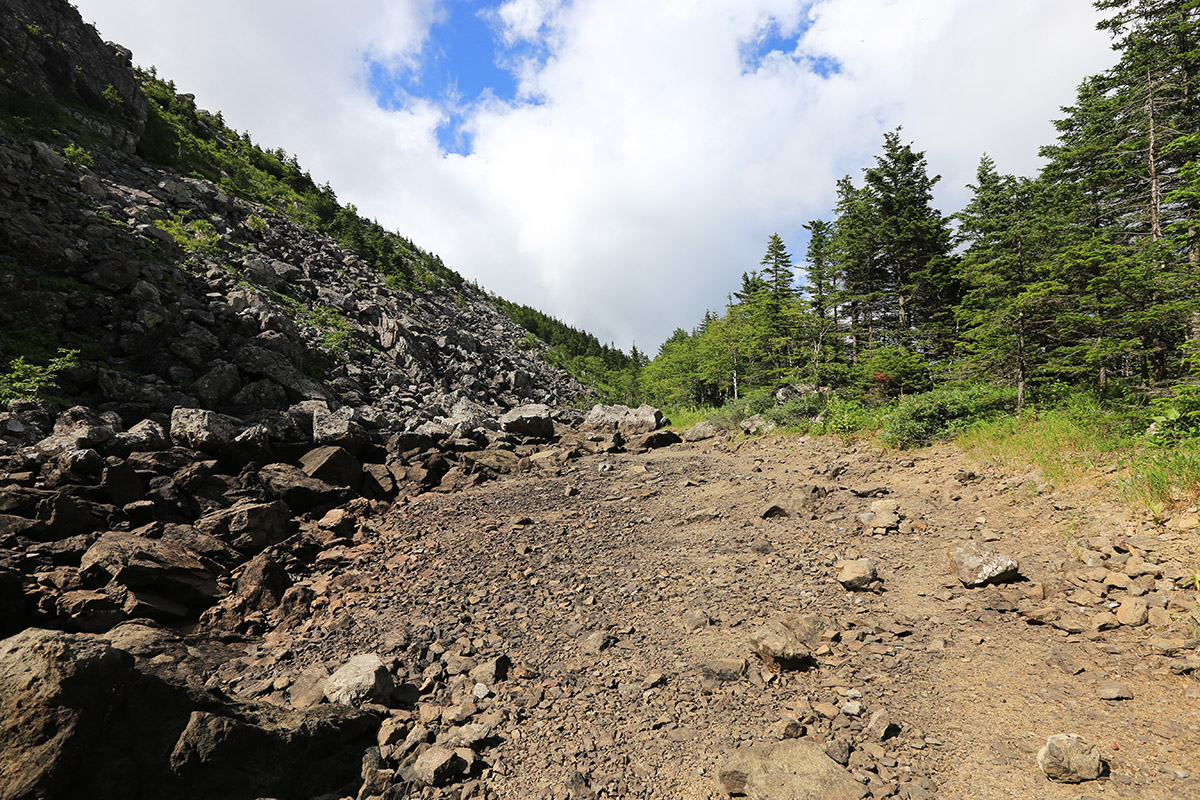 Гора Ольховая, image of landscape/habitat.