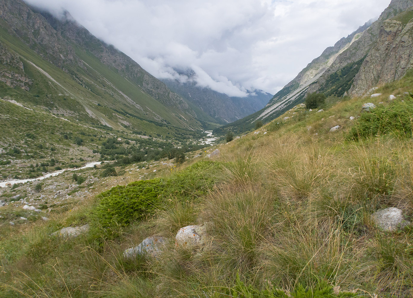 Морена у альплагеря «Безенги», image of landscape/habitat.