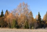 Image of landscape