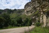 Image of landscape