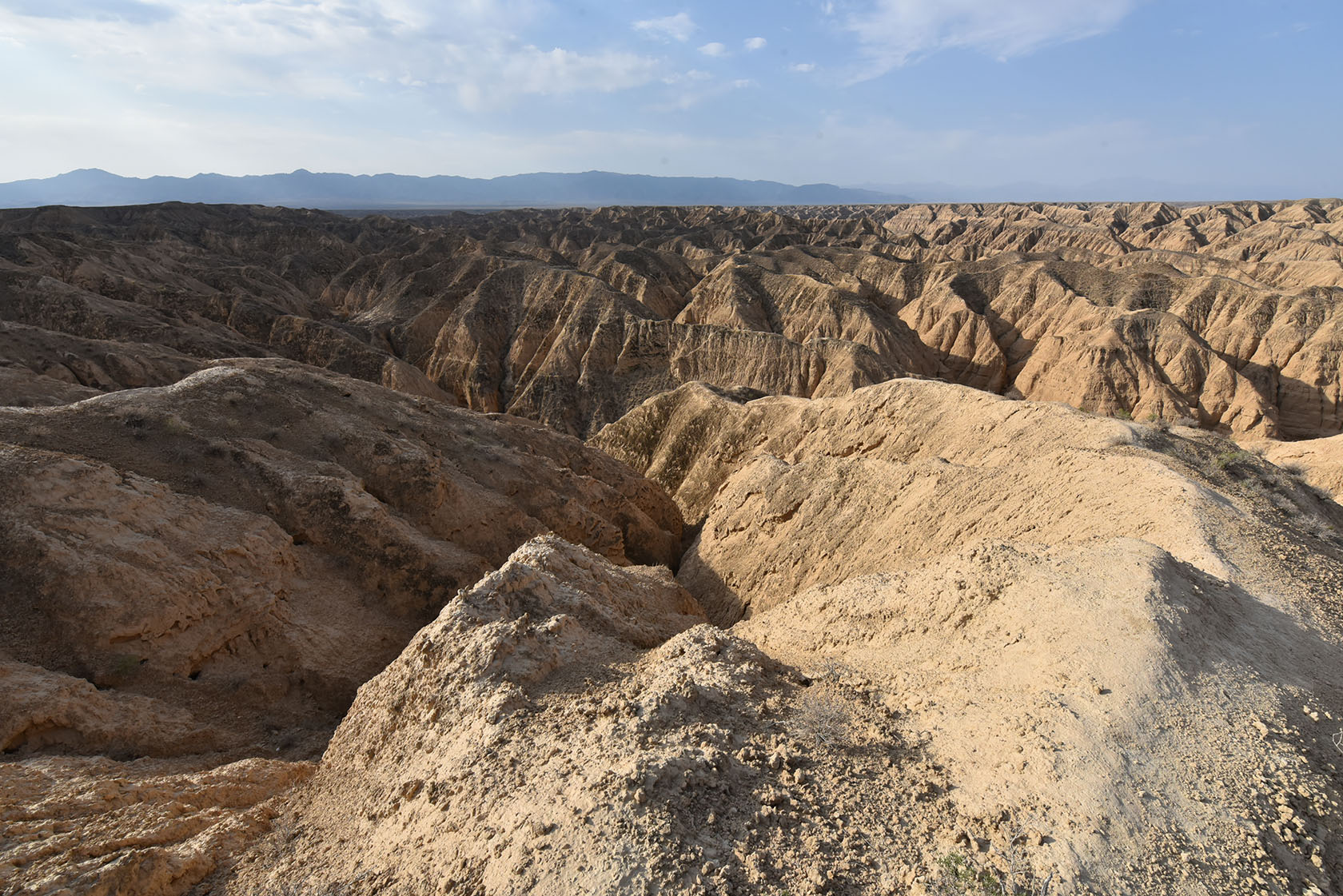 Чарын, image of landscape/habitat.