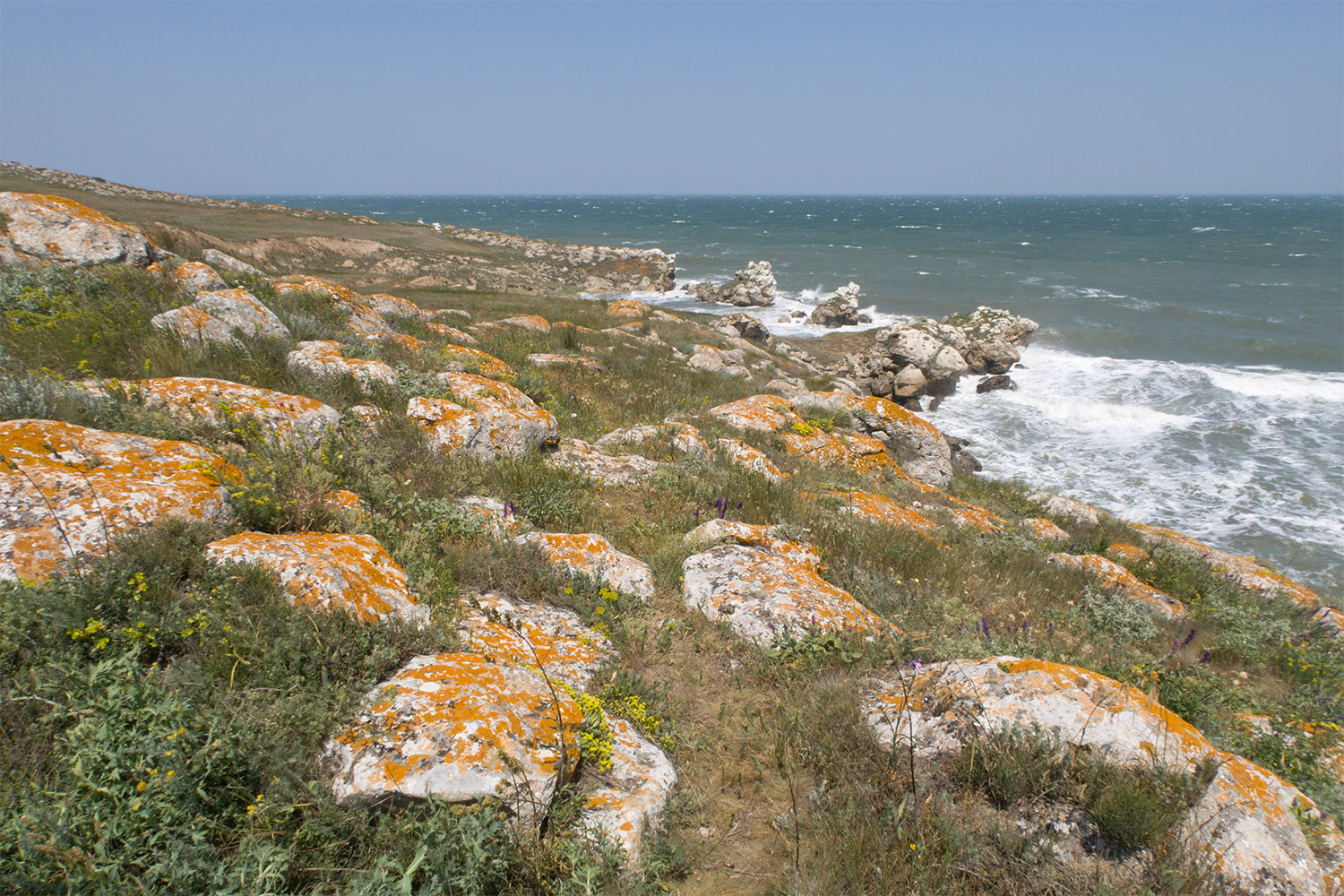 Казантип, image of landscape/habitat.