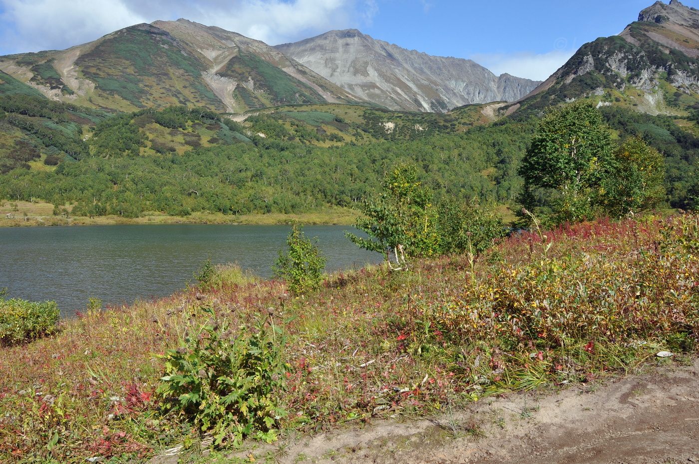 Тахколоч, image of landscape/habitat.