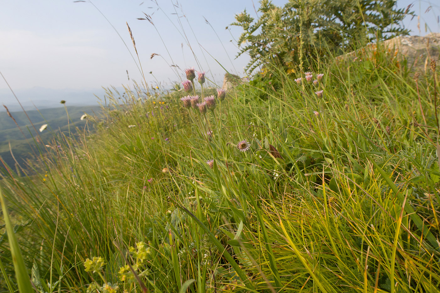 Малый Бермамыт, image of landscape/habitat.