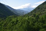 Image of landscape
