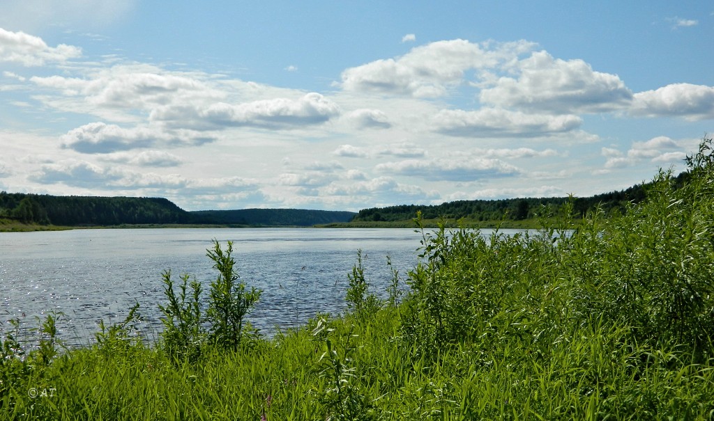 Устье Мяколицы, image of landscape/habitat.