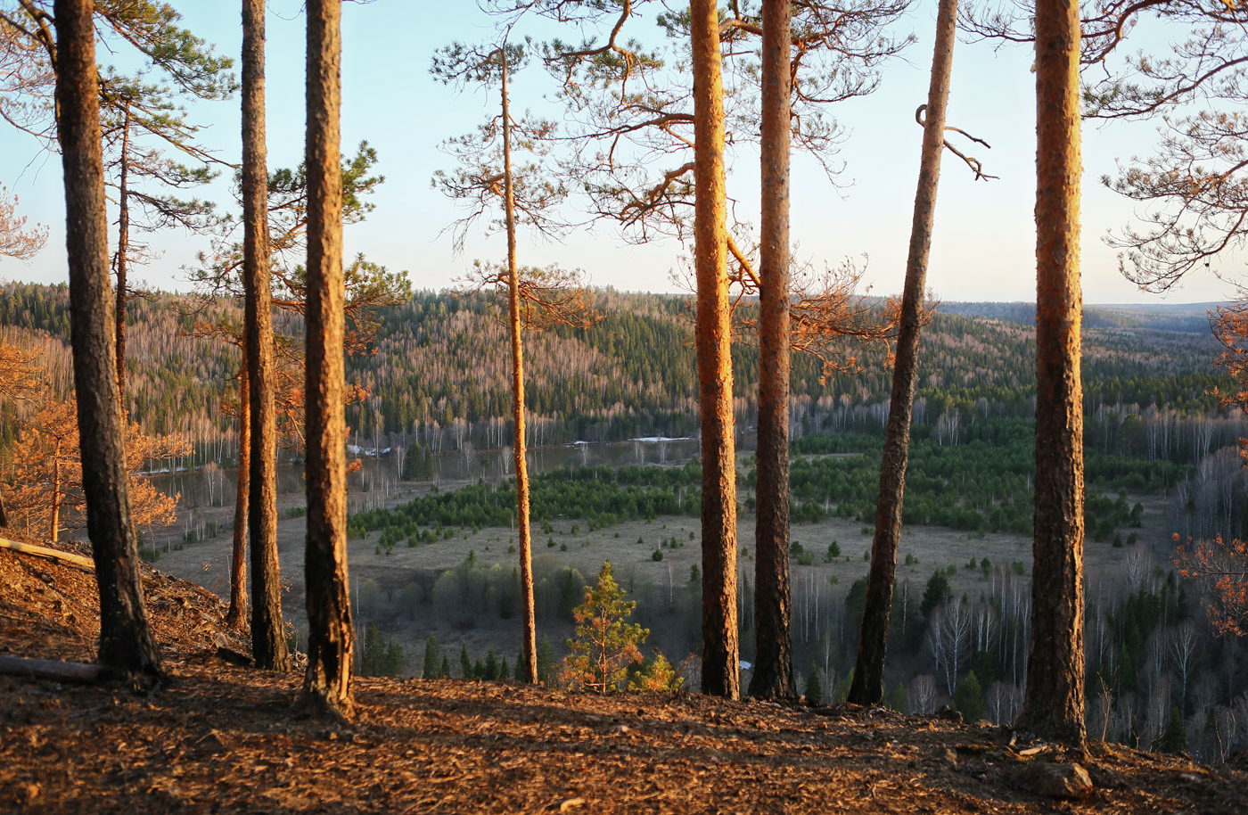 Камень Ростун и его окрестности, image of landscape/habitat.