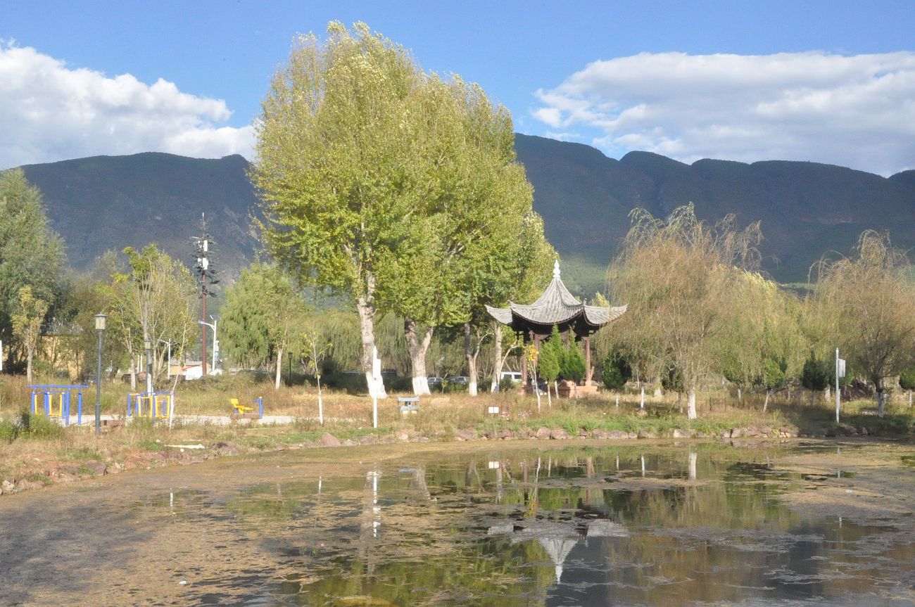 Поселок Шаси, image of landscape/habitat.