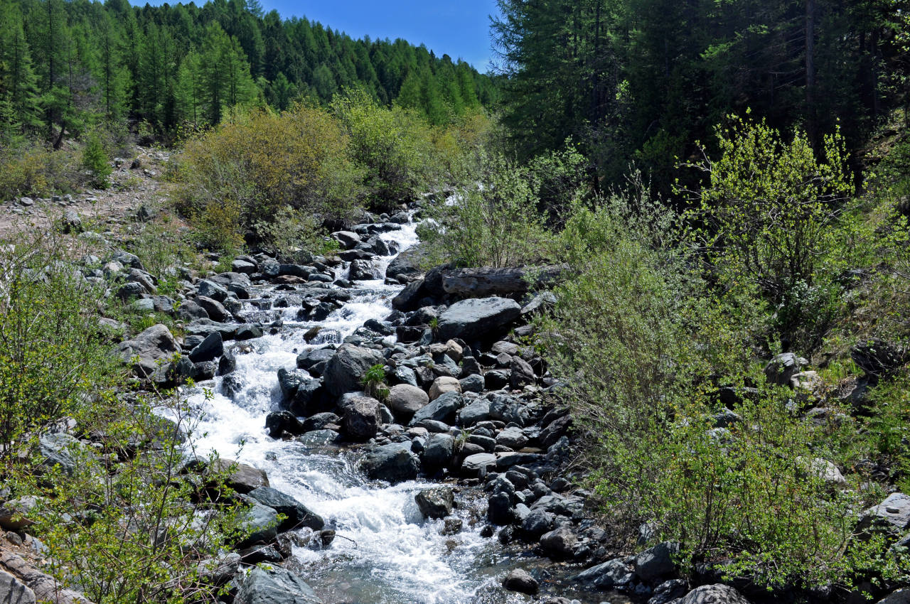 Долина реки Ярлы-Амры, image of landscape/habitat.