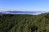 Image of landscape