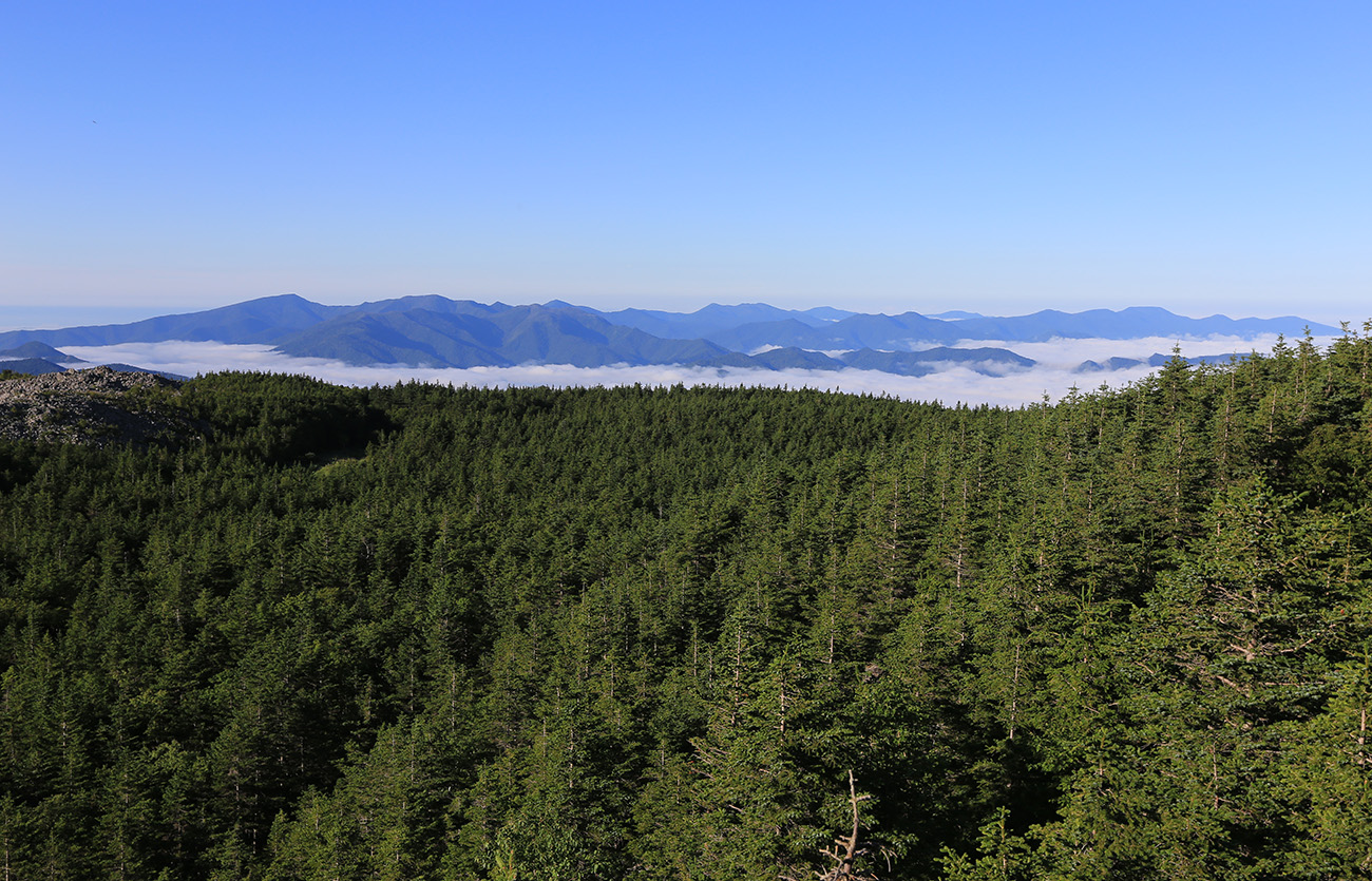 Гора Ольховая, image of landscape/habitat.