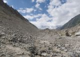 Image of landscape